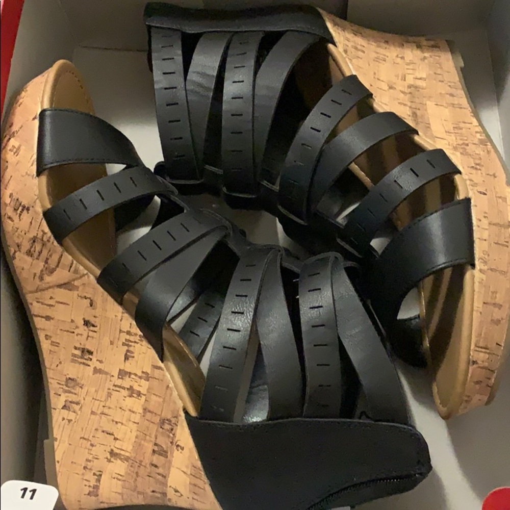 American Eagle Wedges